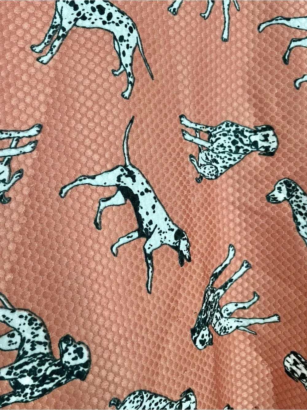 Hutch Dalmatian Print Two-Tone A-Line Skirt in Coral and Red